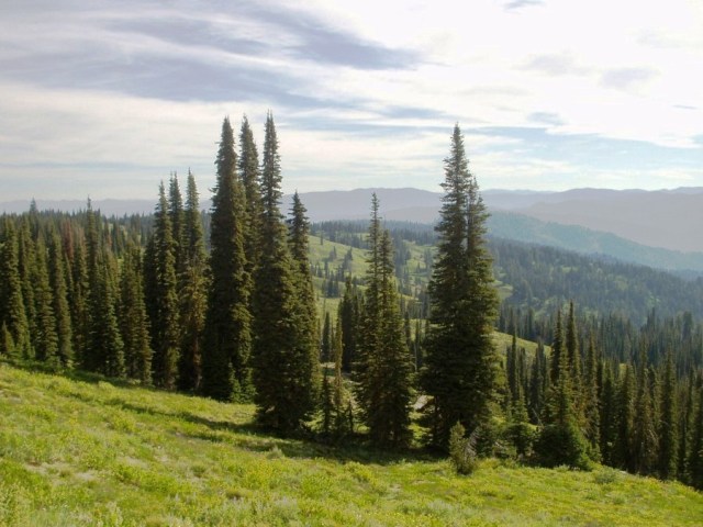 Idaho's share from a federal funding program declines - Vimarsana News