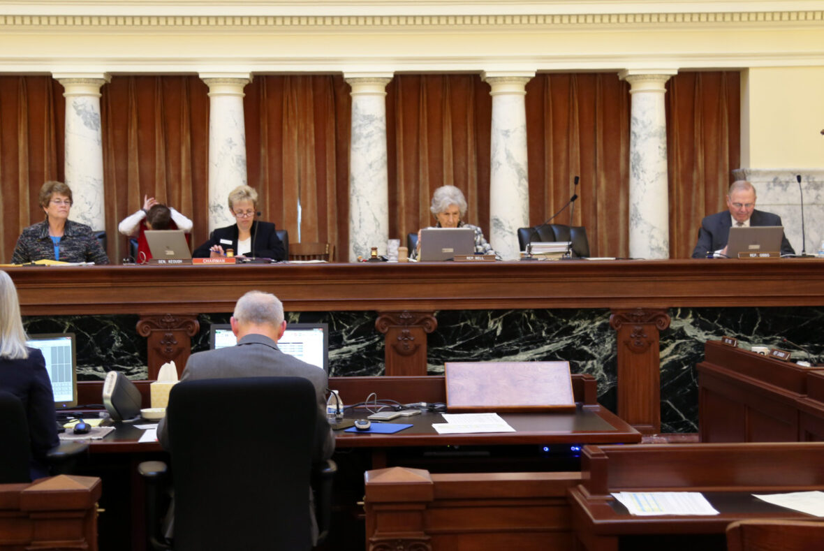 Budget committee outlines new hearing format