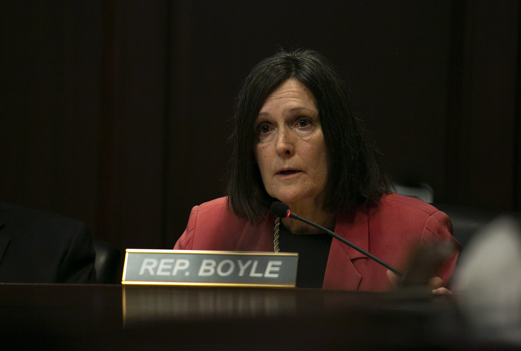 After library bill vote, Boyle abruptly steps down from House Education