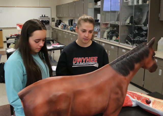 Rural schools set to receive millions for workforce-ready CTE programs - Vimarsana News