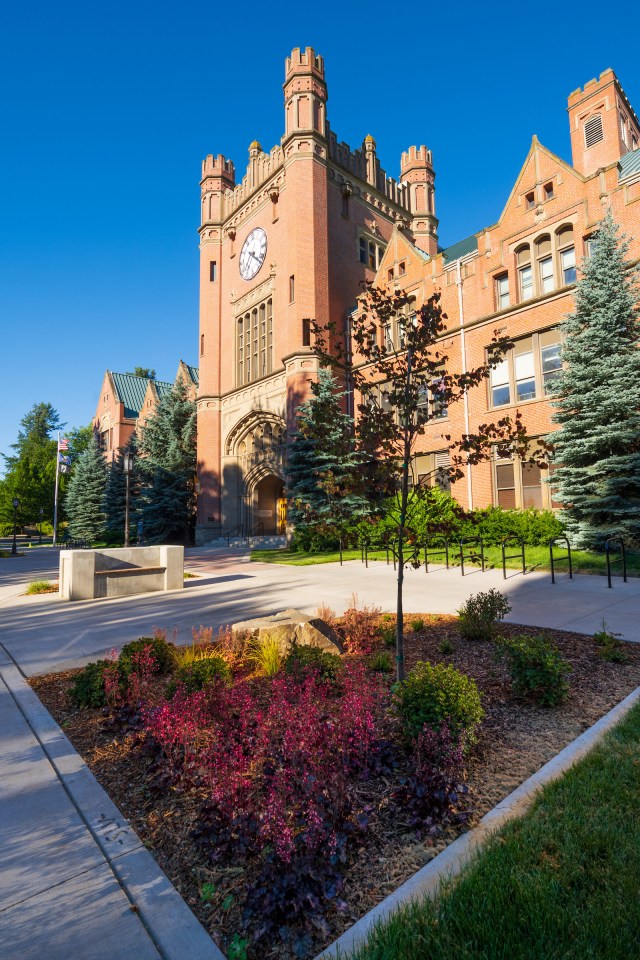 The $685 million University of Phoenix purchase: A study guide - Vimarsana News