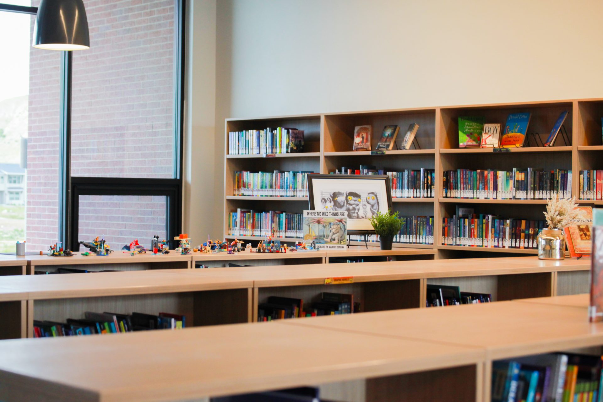 Some schools have yet to implement ‘harmful' material library law