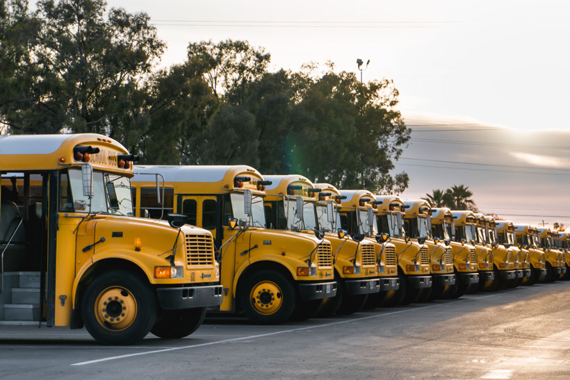 A row of school busses