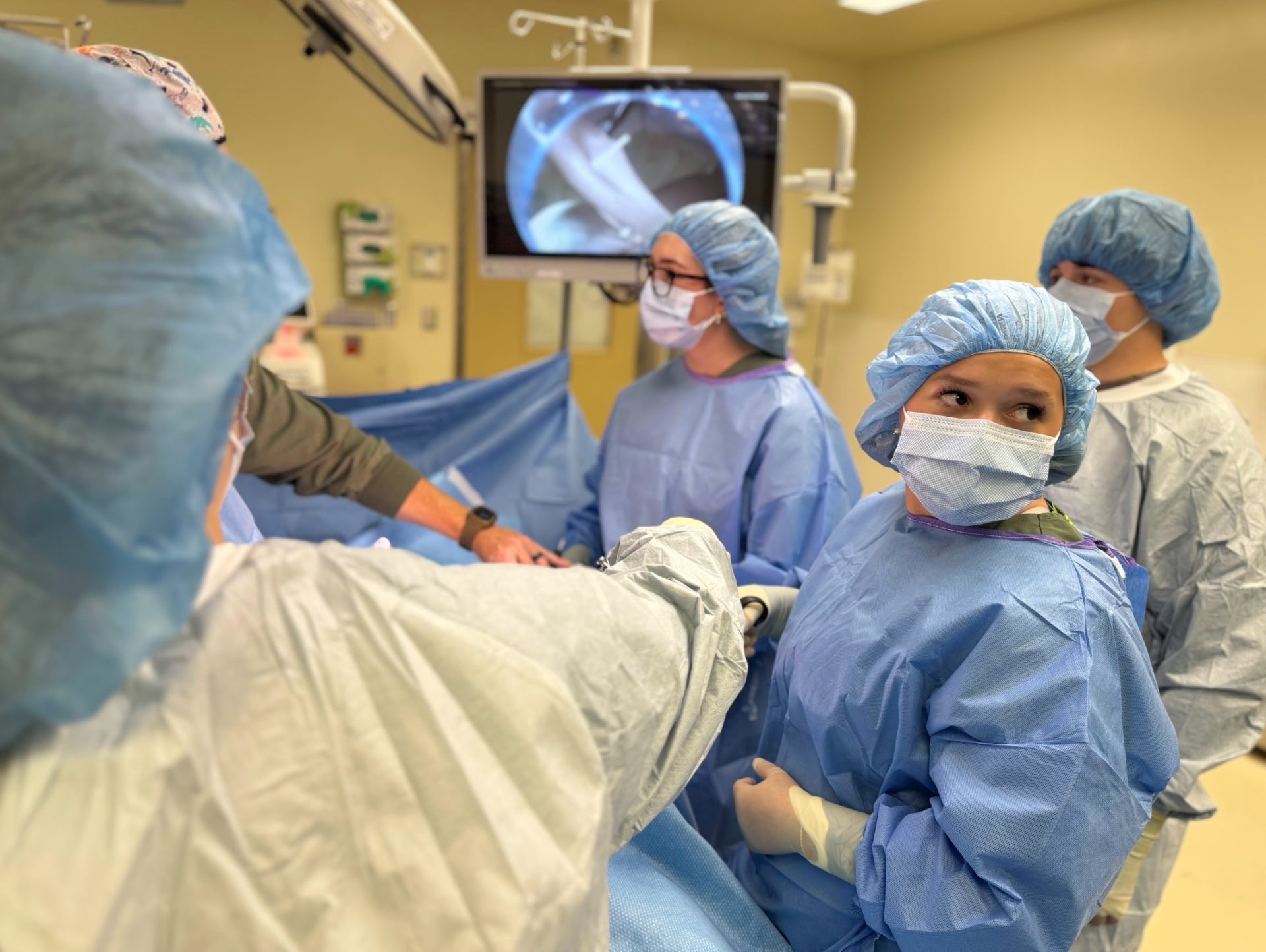 New opt-in law for human sexuality lessons prompts varied responses from Idaho schools