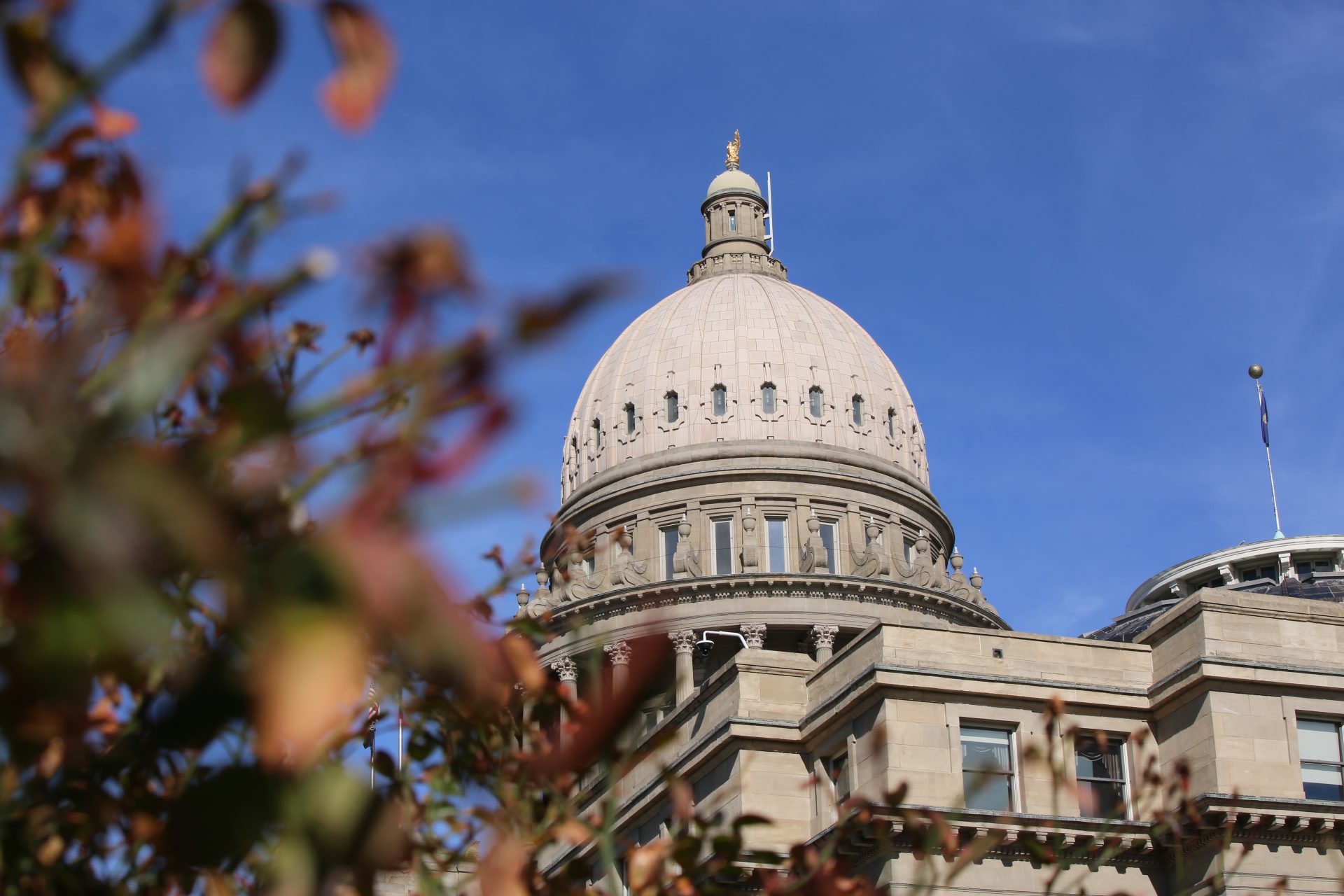 Statehouse roundup, 3.24.26: High-needs special education bill heads to Little’s desk